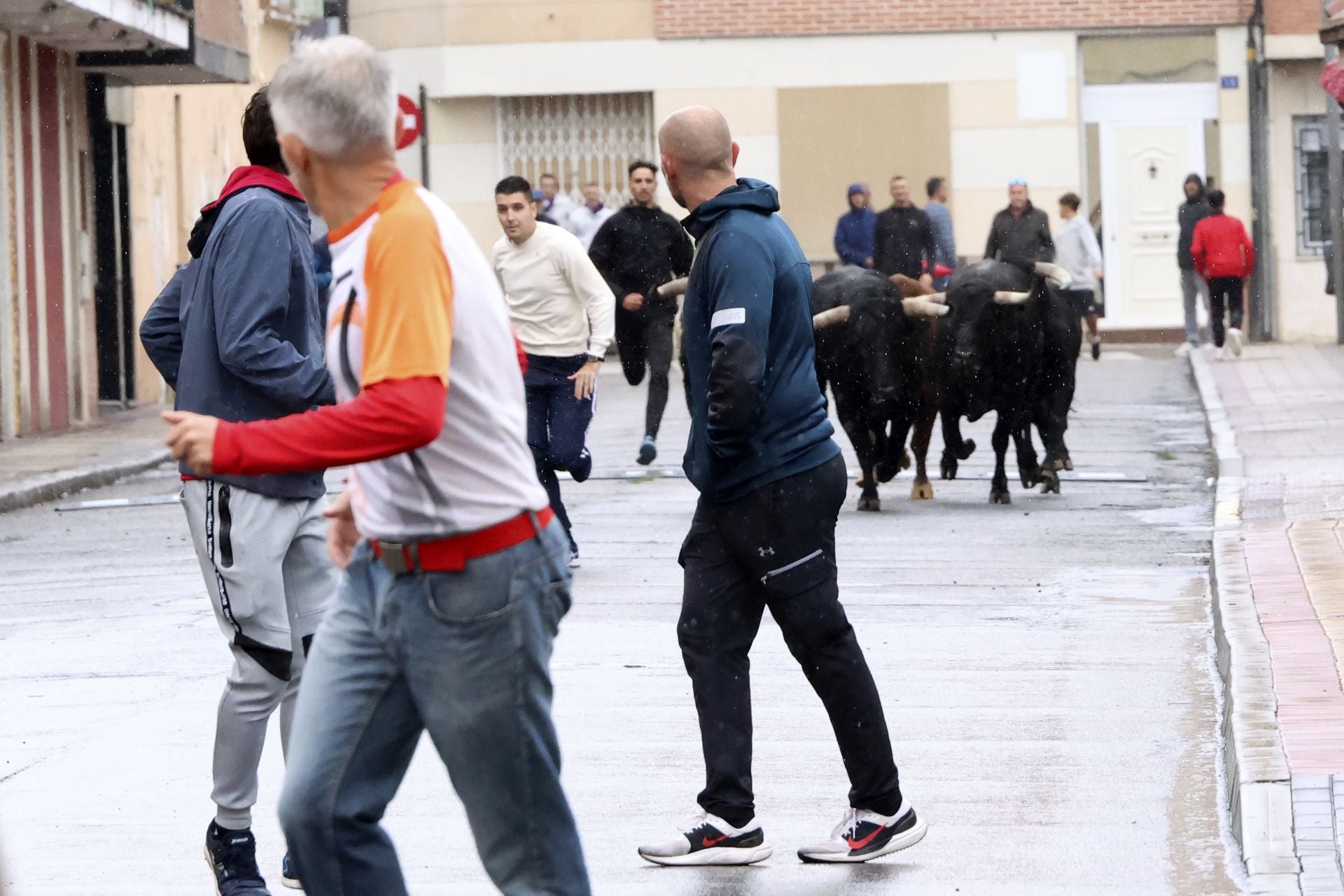 Las imágenes del encierro del domingo en las fiestas de Íscar