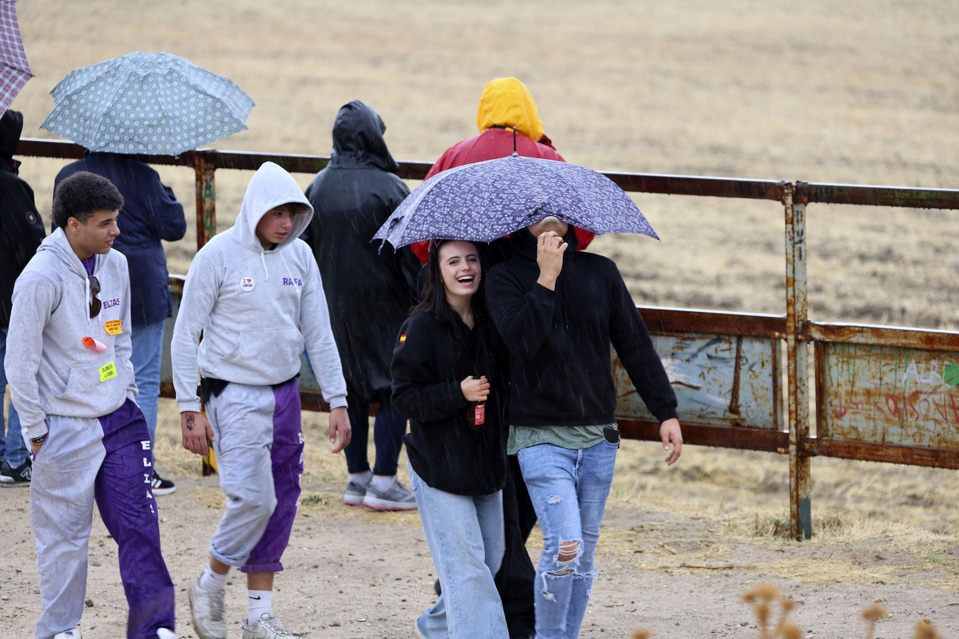 Encierro del domingo en las fiestas de Olmedo