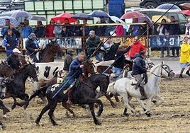 Los caballistas guían a los astados durante el encierro dominical.