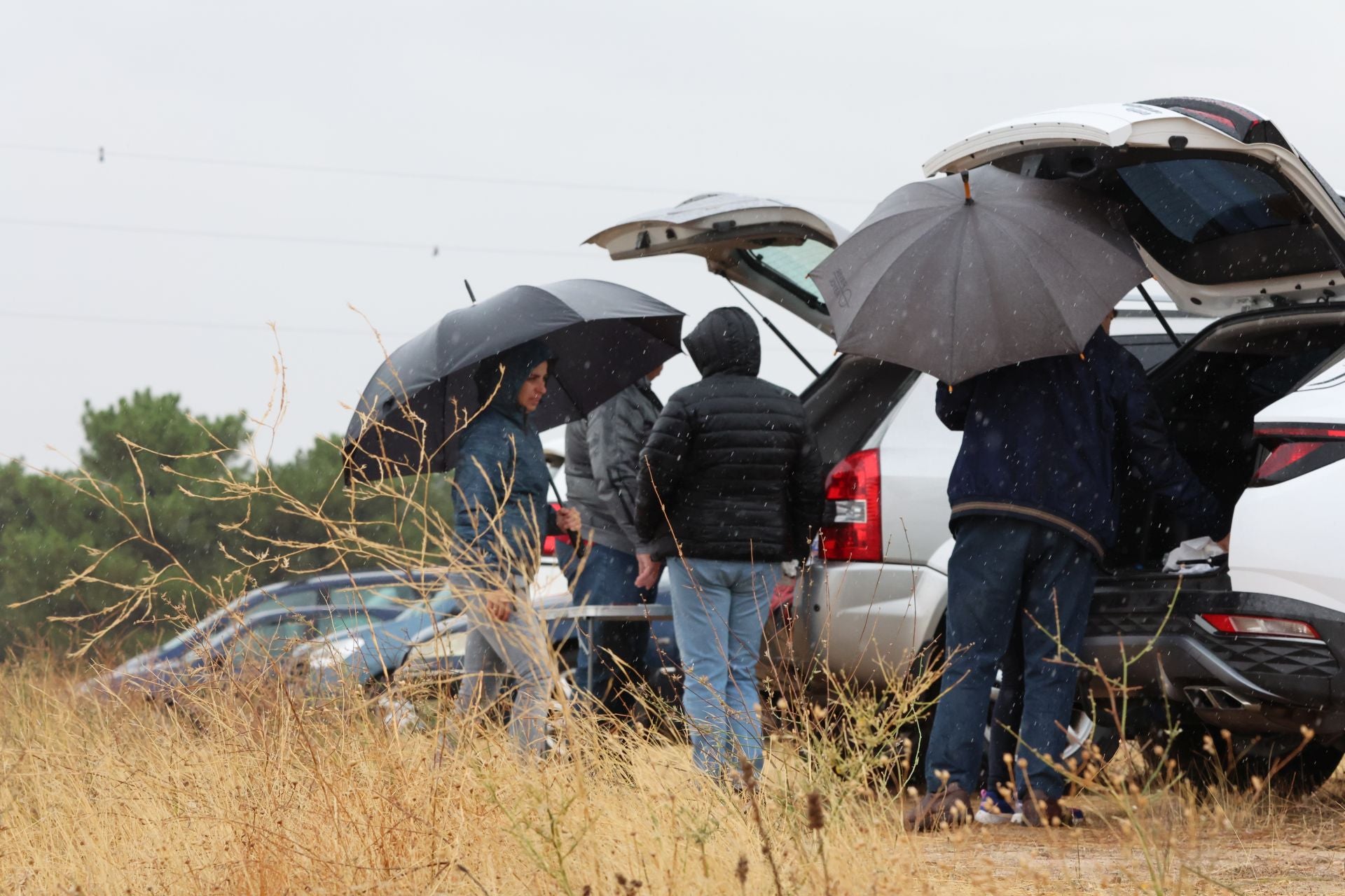 Encierro del domingo en las fiestas de Olmedo