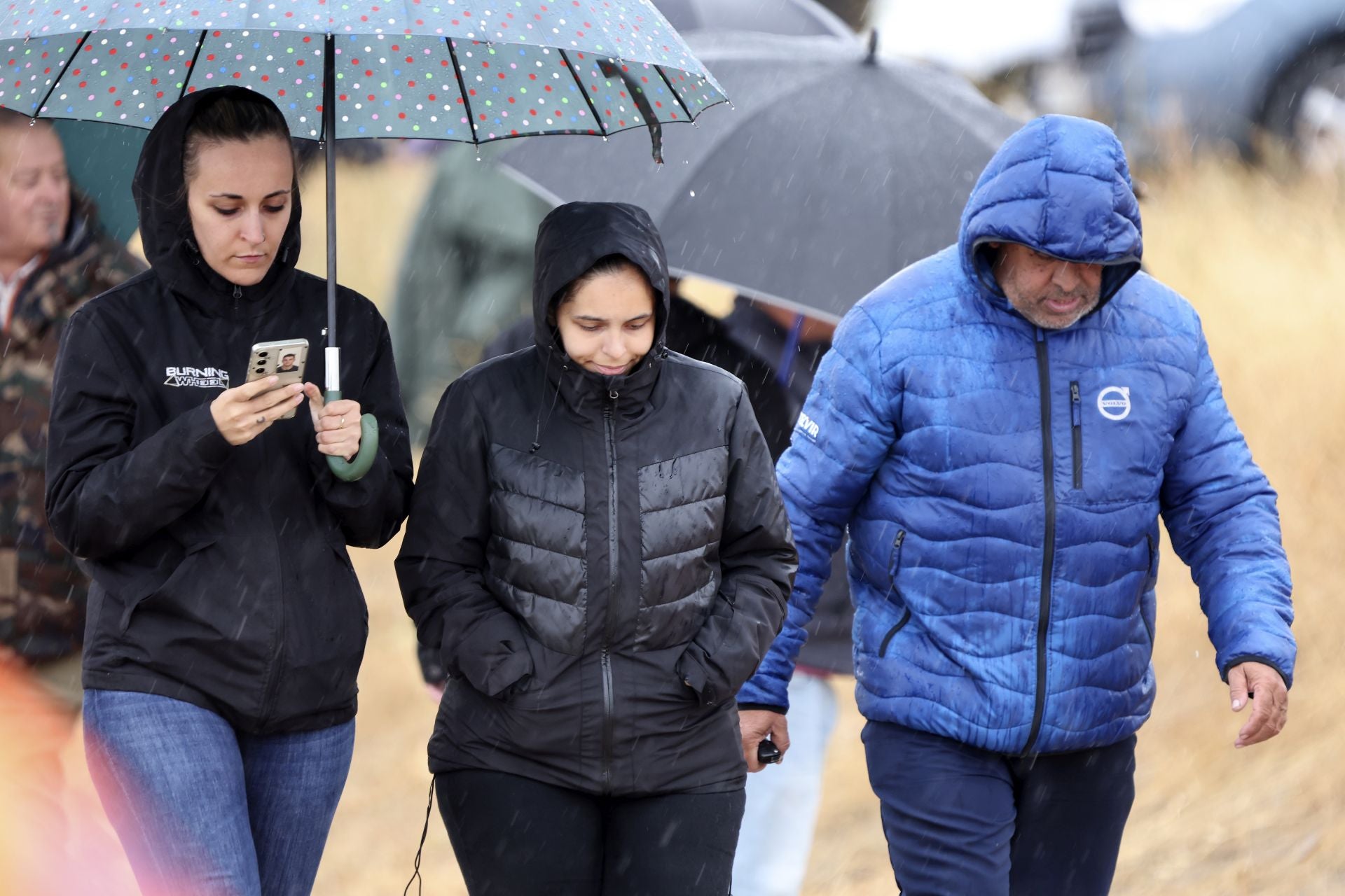 Encierro del domingo en las fiestas de Olmedo