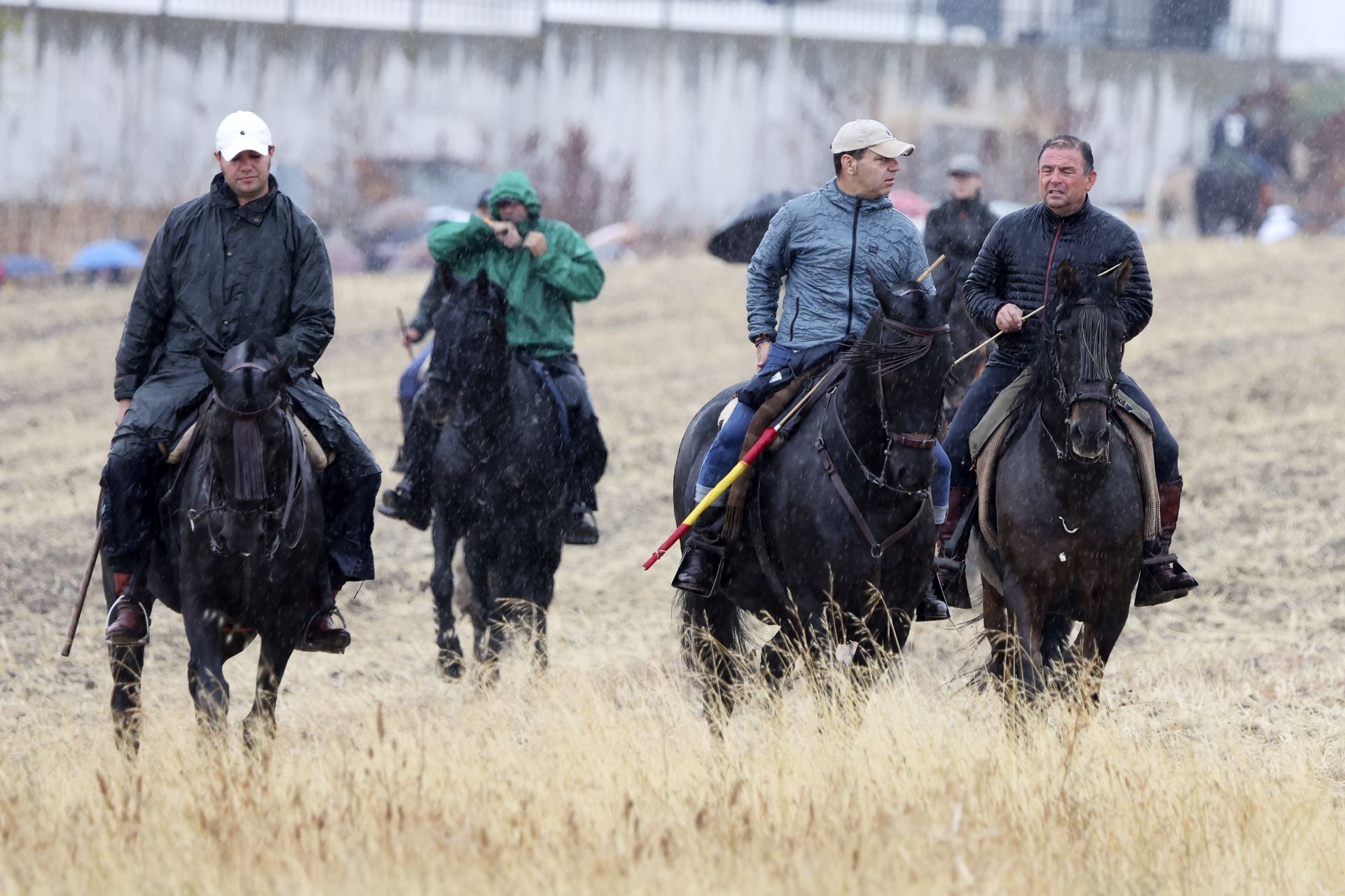 Encierro del domingo en las fiestas de Olmedo