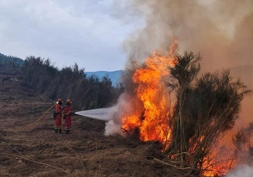 Evacuados Riofrío de Riaza y la urbanización de La Pinilla por el incendio de Guadalajara
