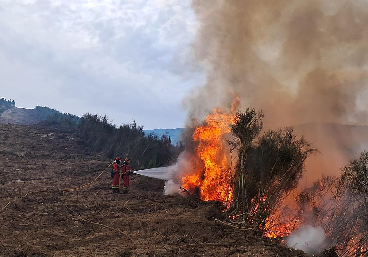 Tareas para sofocar las llamas que han avanzado hasta la provincia de Segovia.