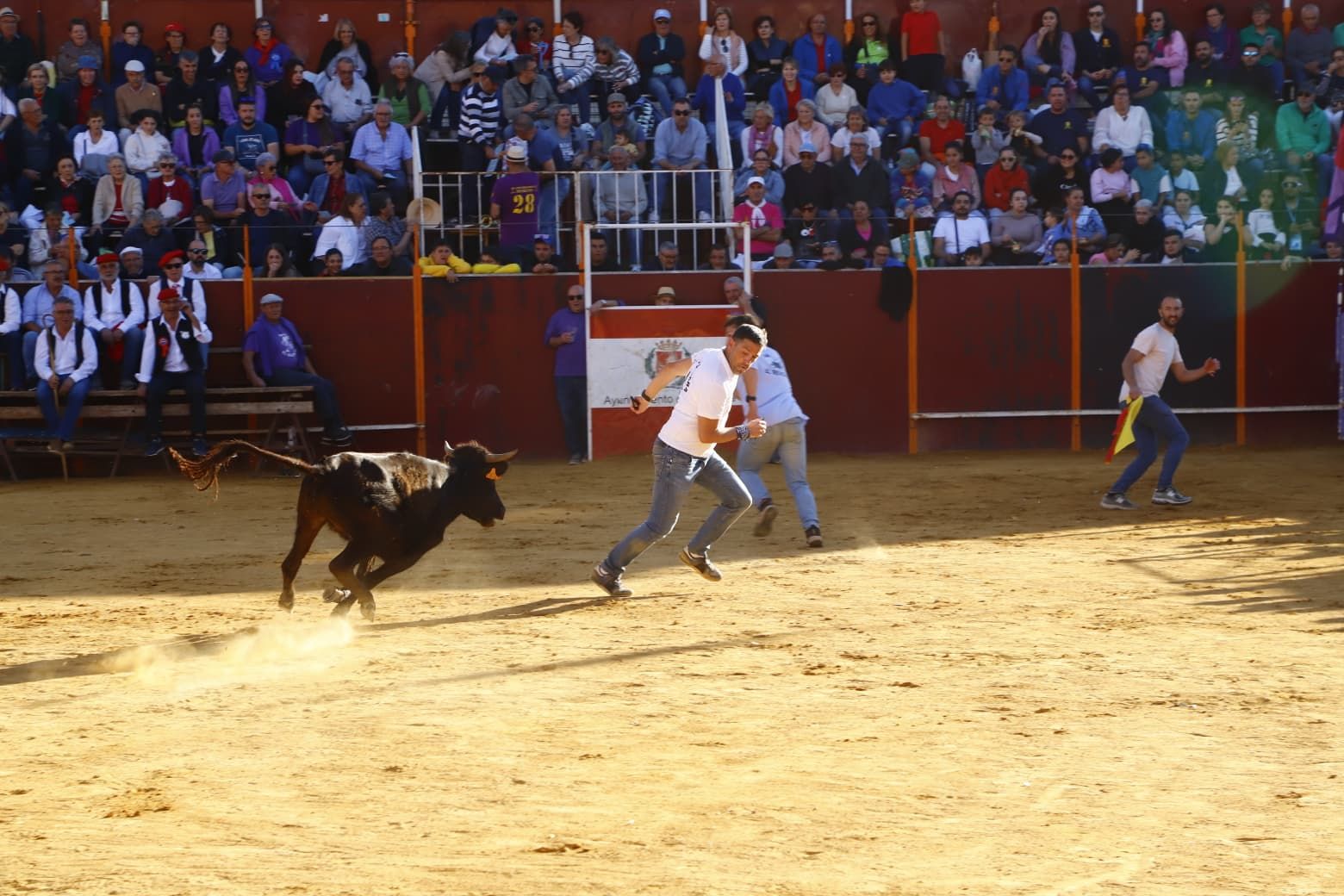 El día de las peñas de Mayorga, en imágenes
