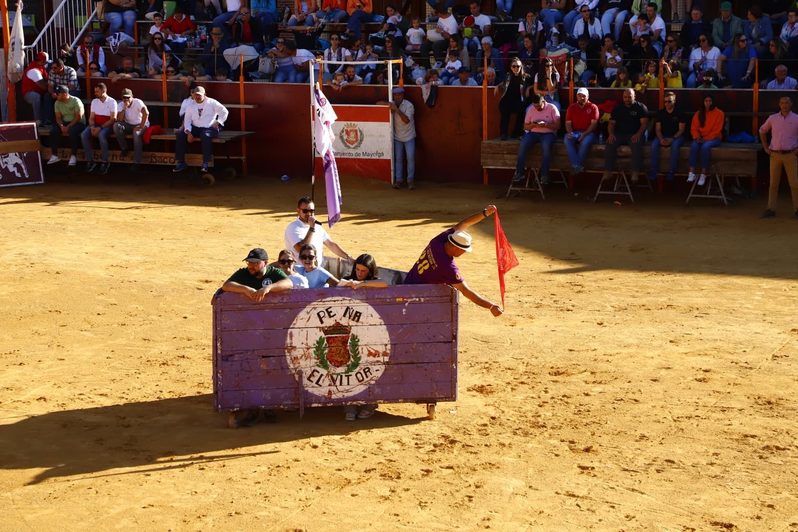 El día de las peñas de Mayorga, en imágenes