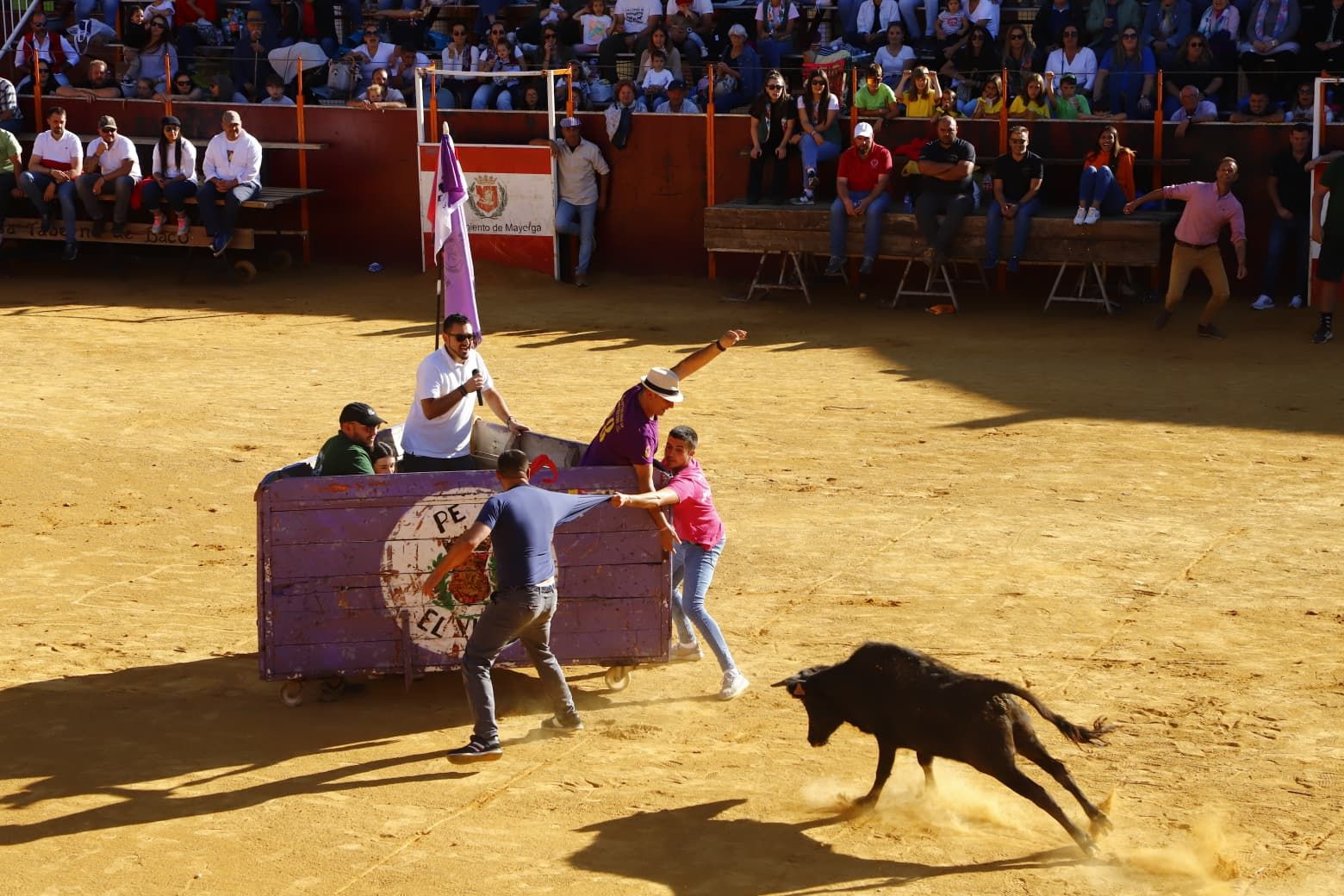 El día de las peñas de Mayorga, en imágenes