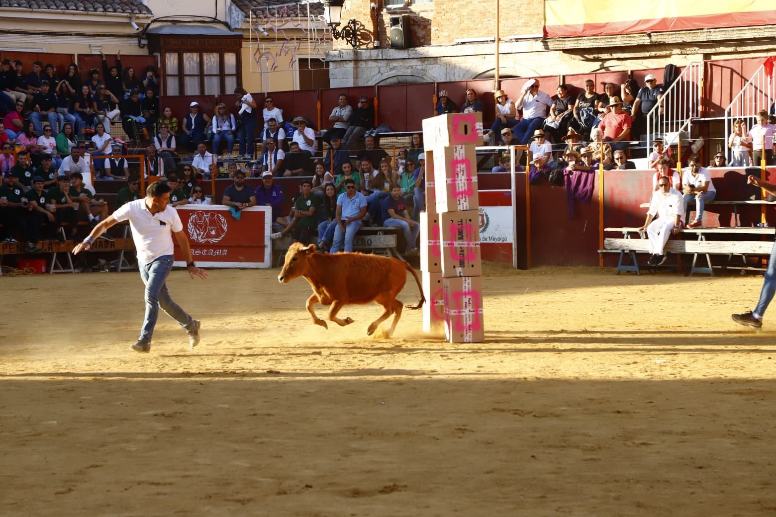 El día de las peñas de Mayorga, en imágenes