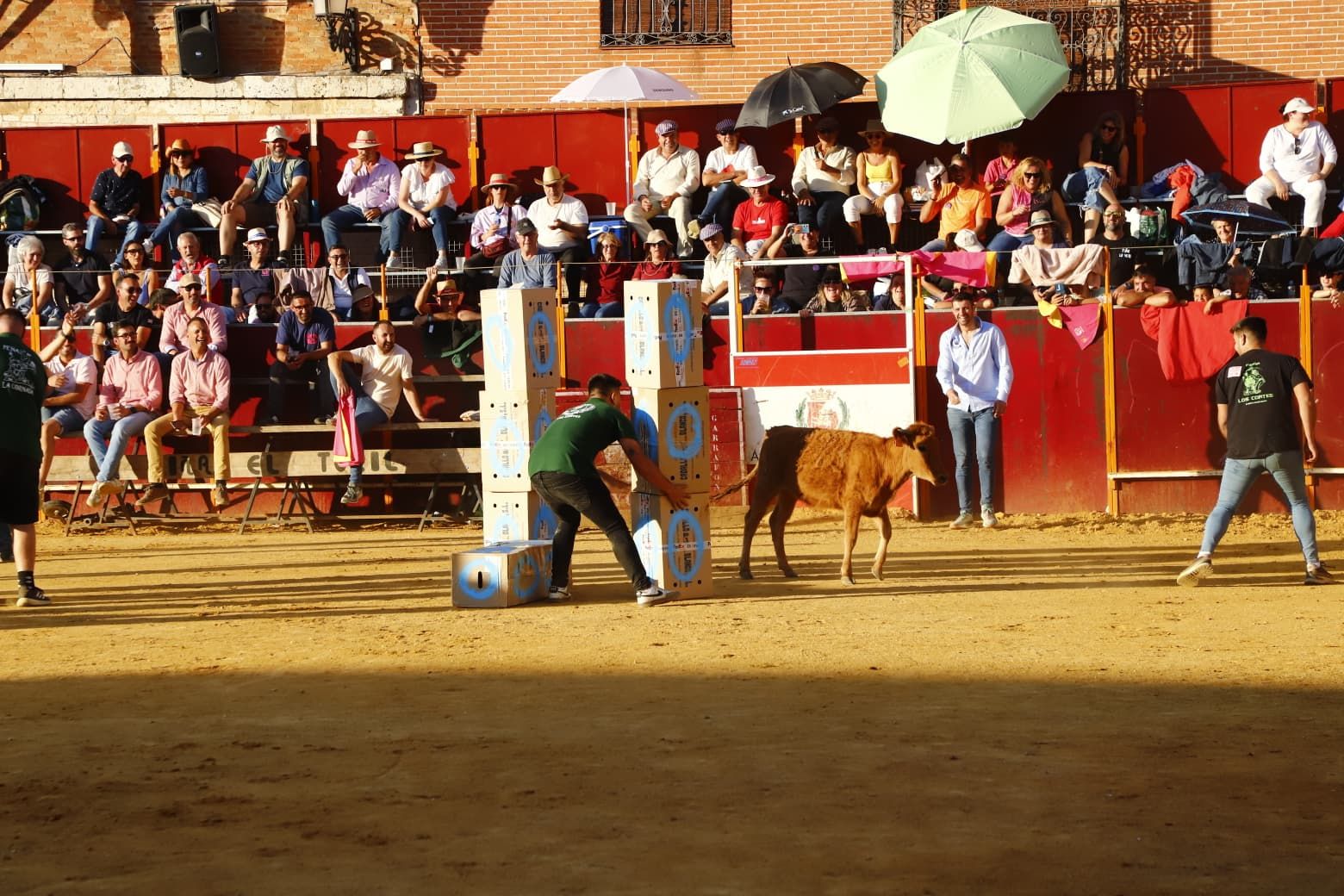 El día de las peñas de Mayorga, en imágenes