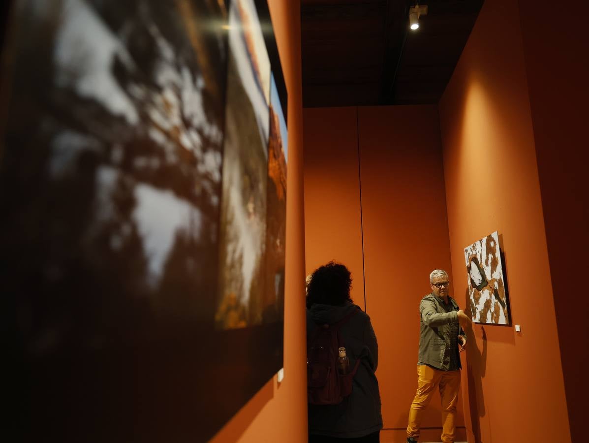 La Montaña Palentina, en 28 imágenes impactantes