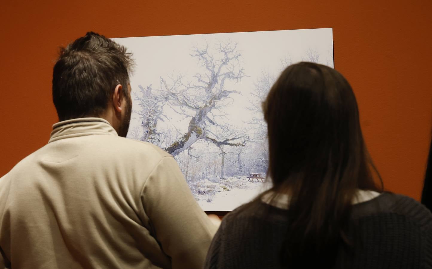 La Montaña Palentina, en 28 imágenes impactantes