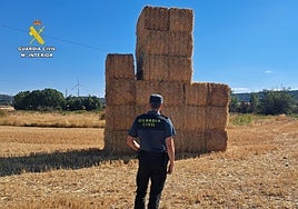 Investigado por robar 80 toneladas de paja valorada en 3.000 euros en Paredes de Nava