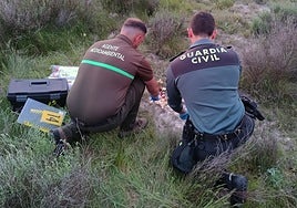 Dos agentes investigan sobre el terreno.