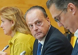 El presidente del Consejo de Cuentas, Mario Amilivia (c), durante su última comparecencia en las Cortes, el pasado 15 de septiembre.