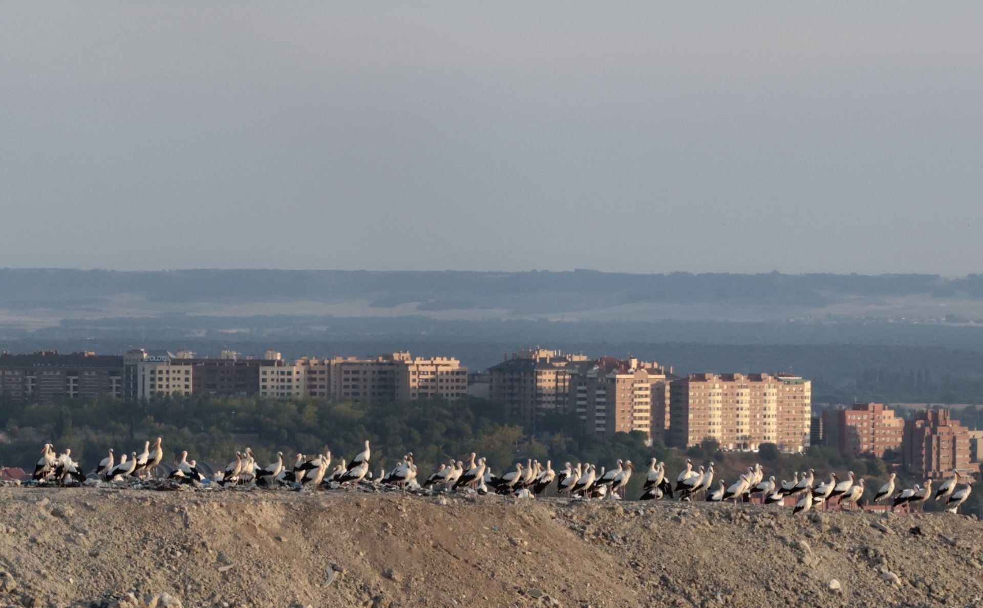 El incendio en el viejo vertedero de Valladolid, en imágenes