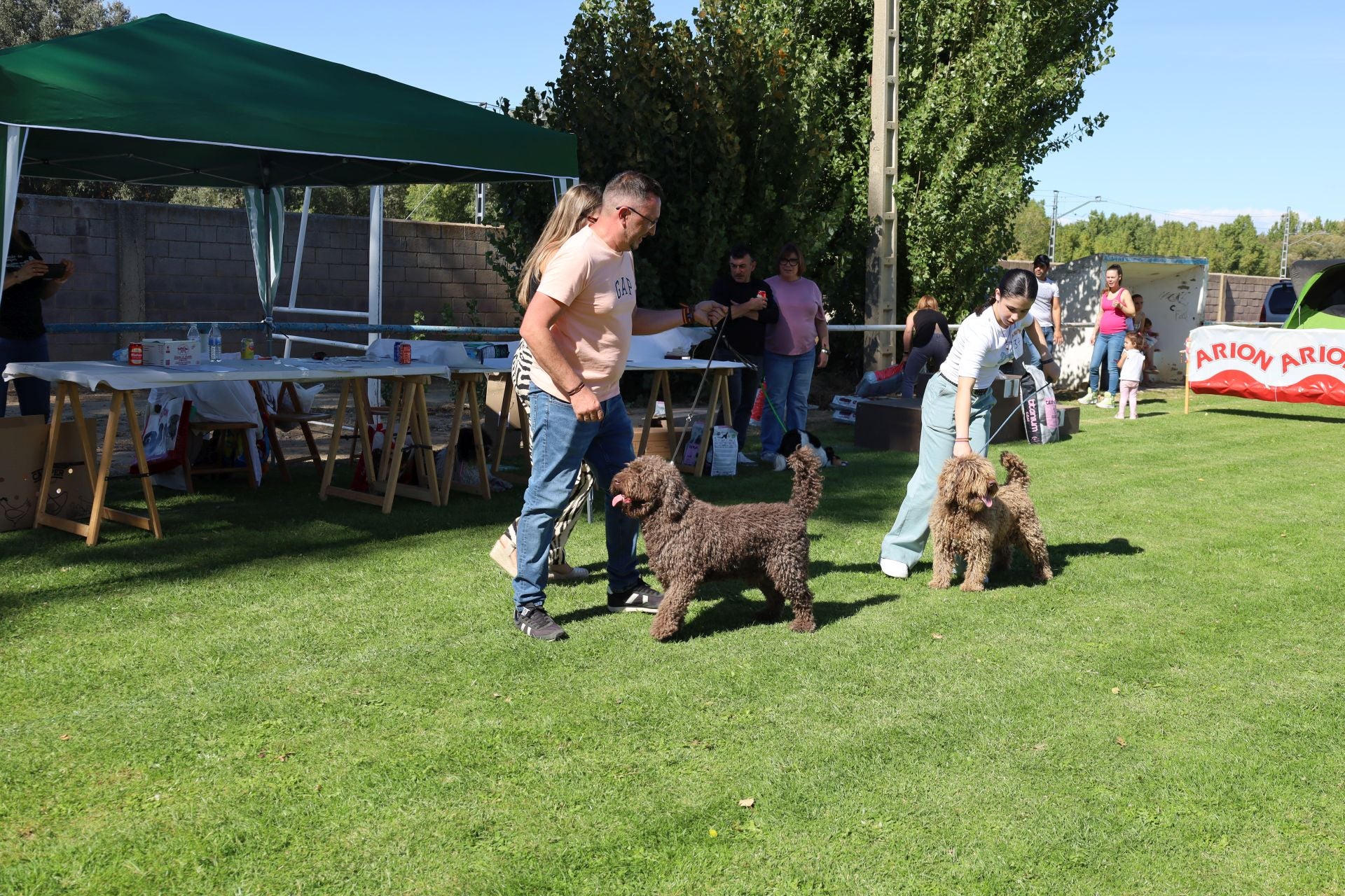 Concurso de mastines y perros de agua en Monzón de Campos