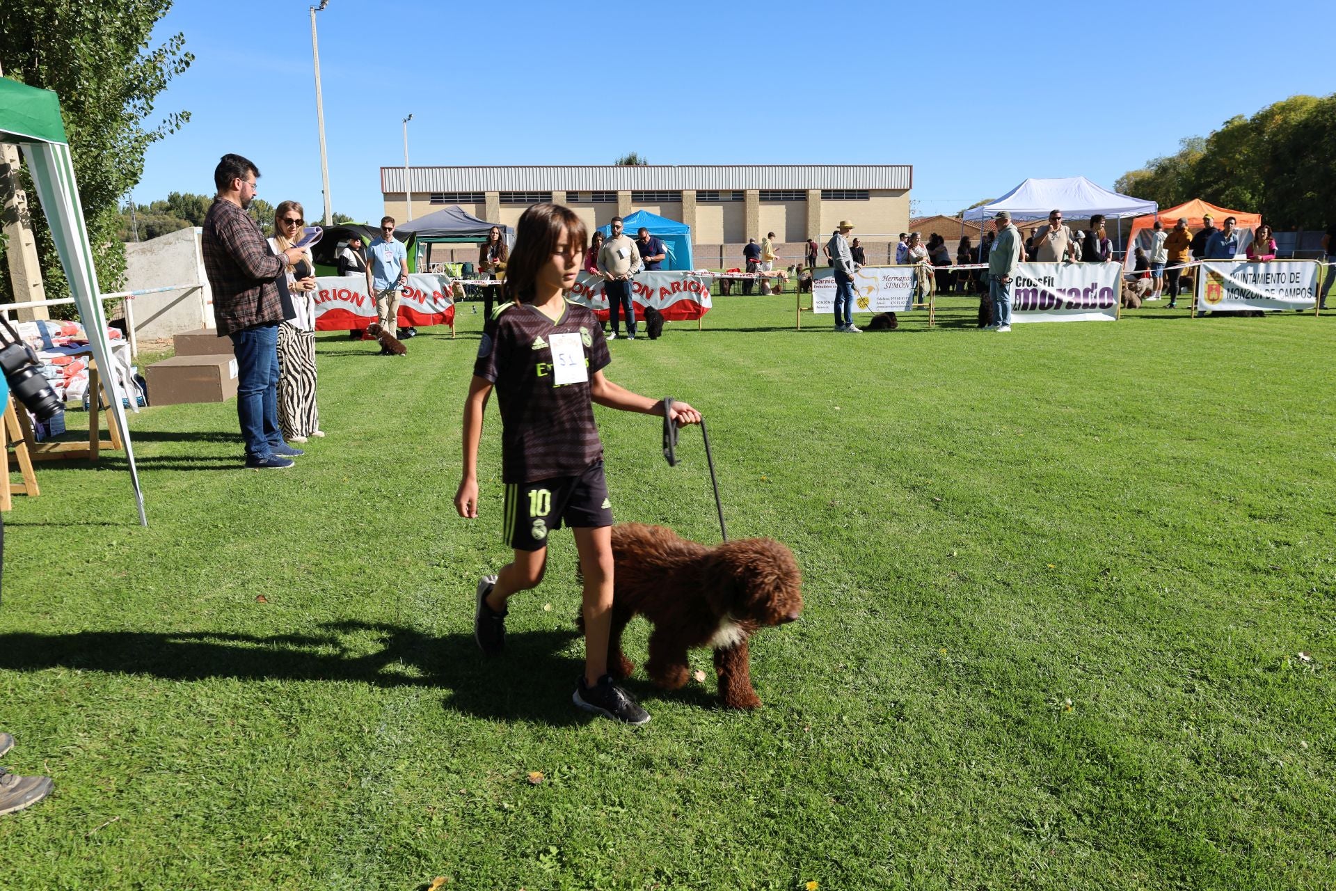 Concurso de mastines y perros de agua en Monzón de Campos