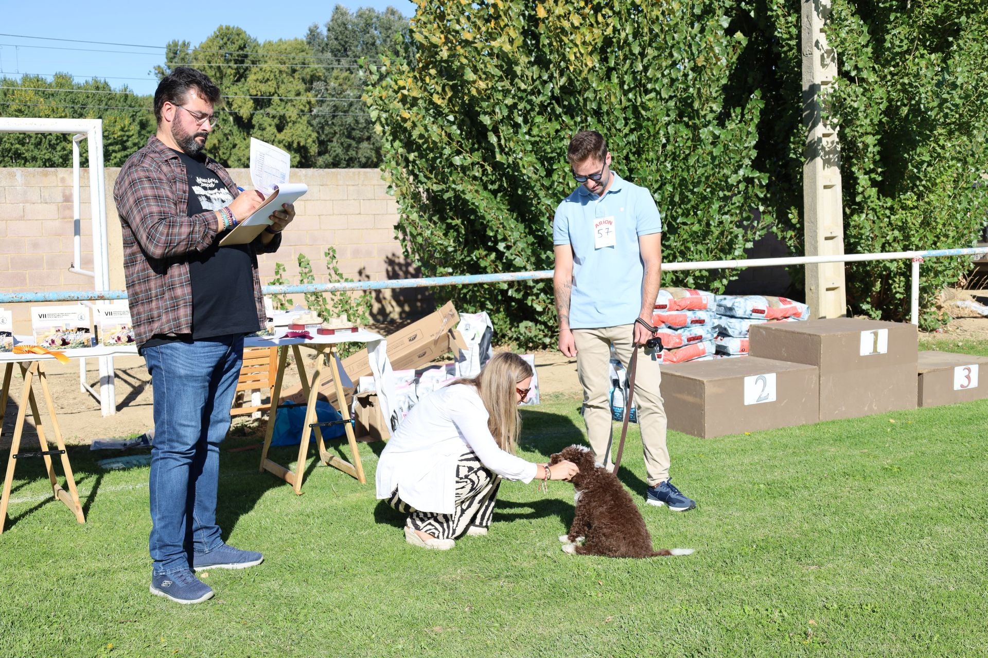 Concurso de mastines y perros de agua en Monzón de Campos