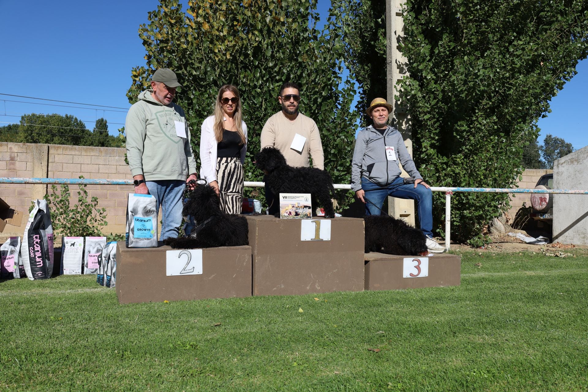 Concurso de mastines y perros de agua en Monzón de Campos