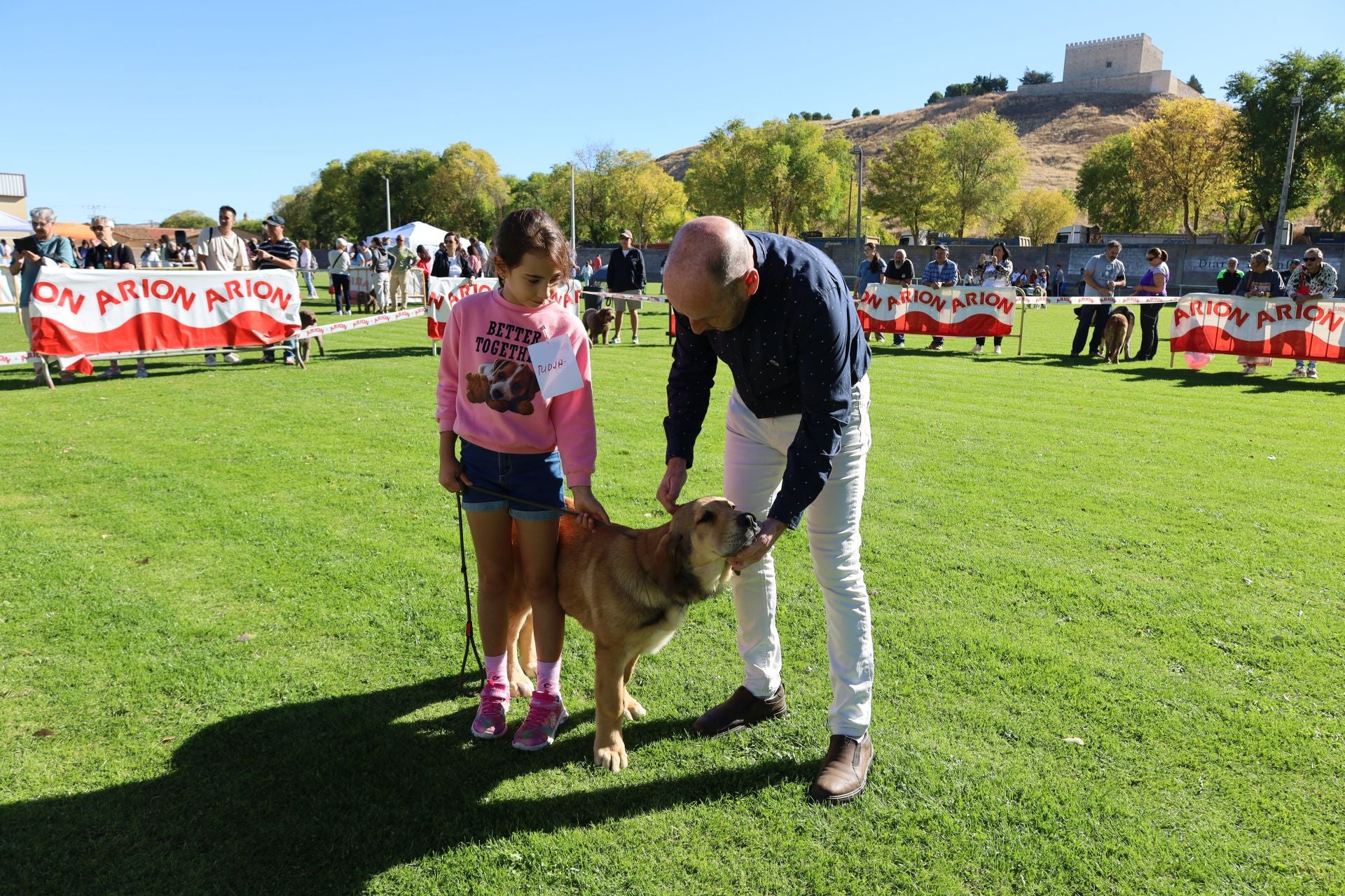 Concurso de mastines y perros de agua en Monzón de Campos
