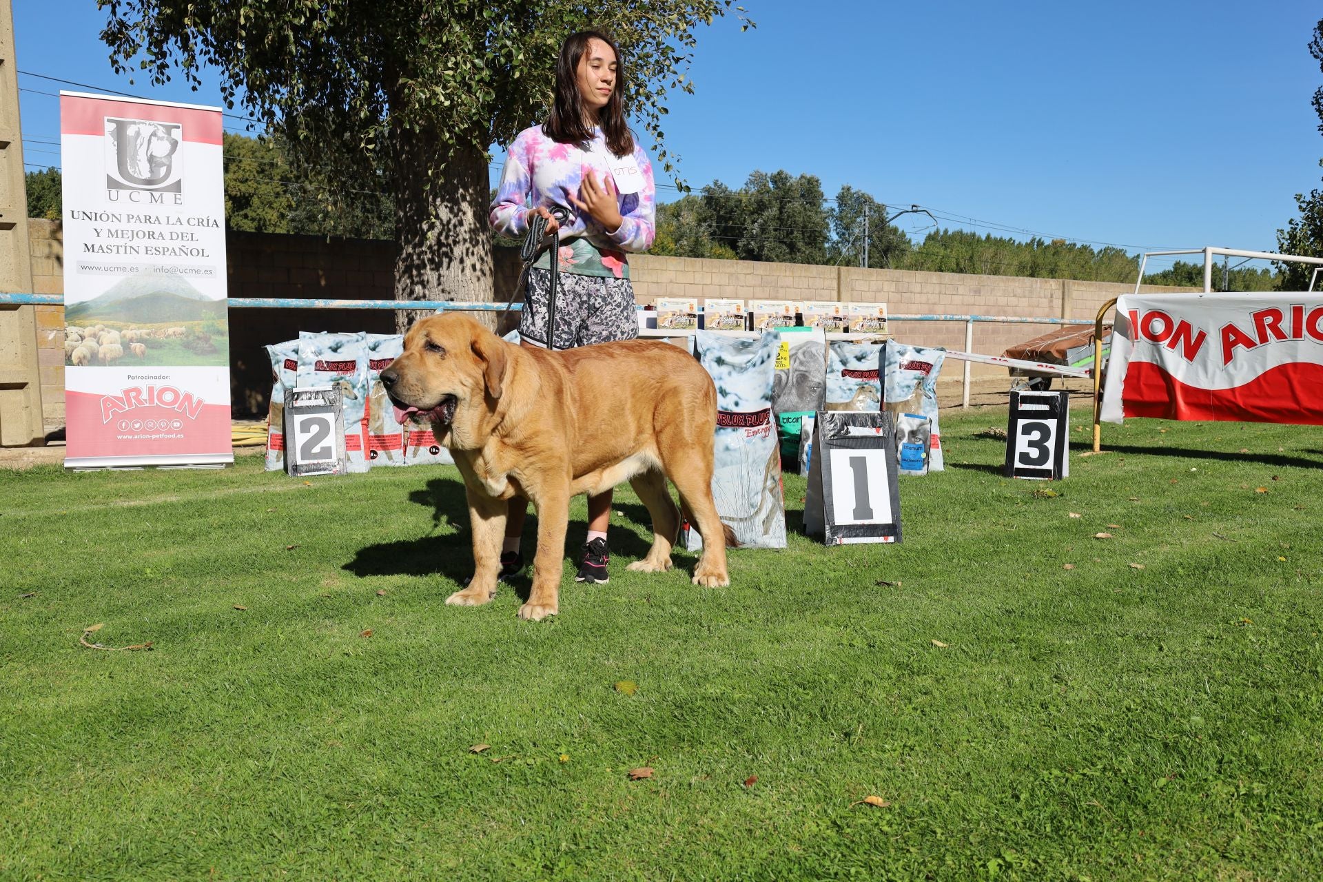 Concurso de mastines y perros de agua en Monzón de Campos
