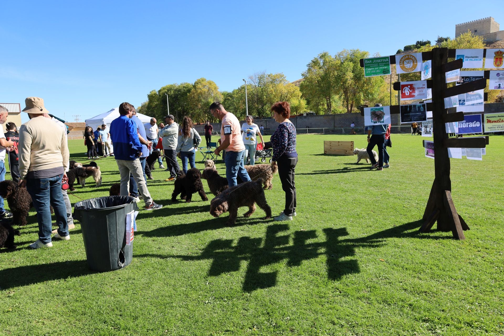 Concurso de mastines y perros de agua en Monzón de Campos