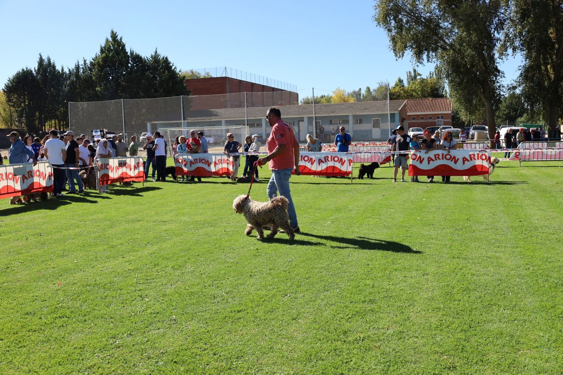 Concurso de mastines y perros de agua en Monzón de Campos