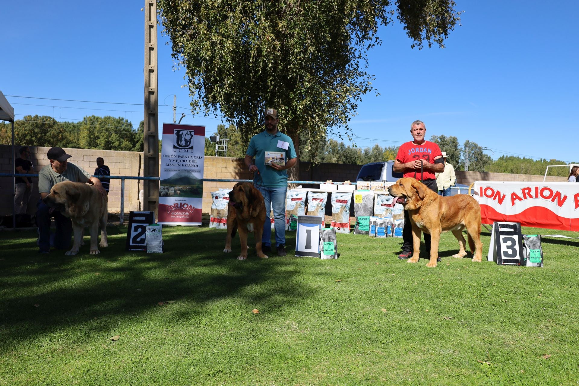 Concurso de mastines y perros de agua en Monzón de Campos