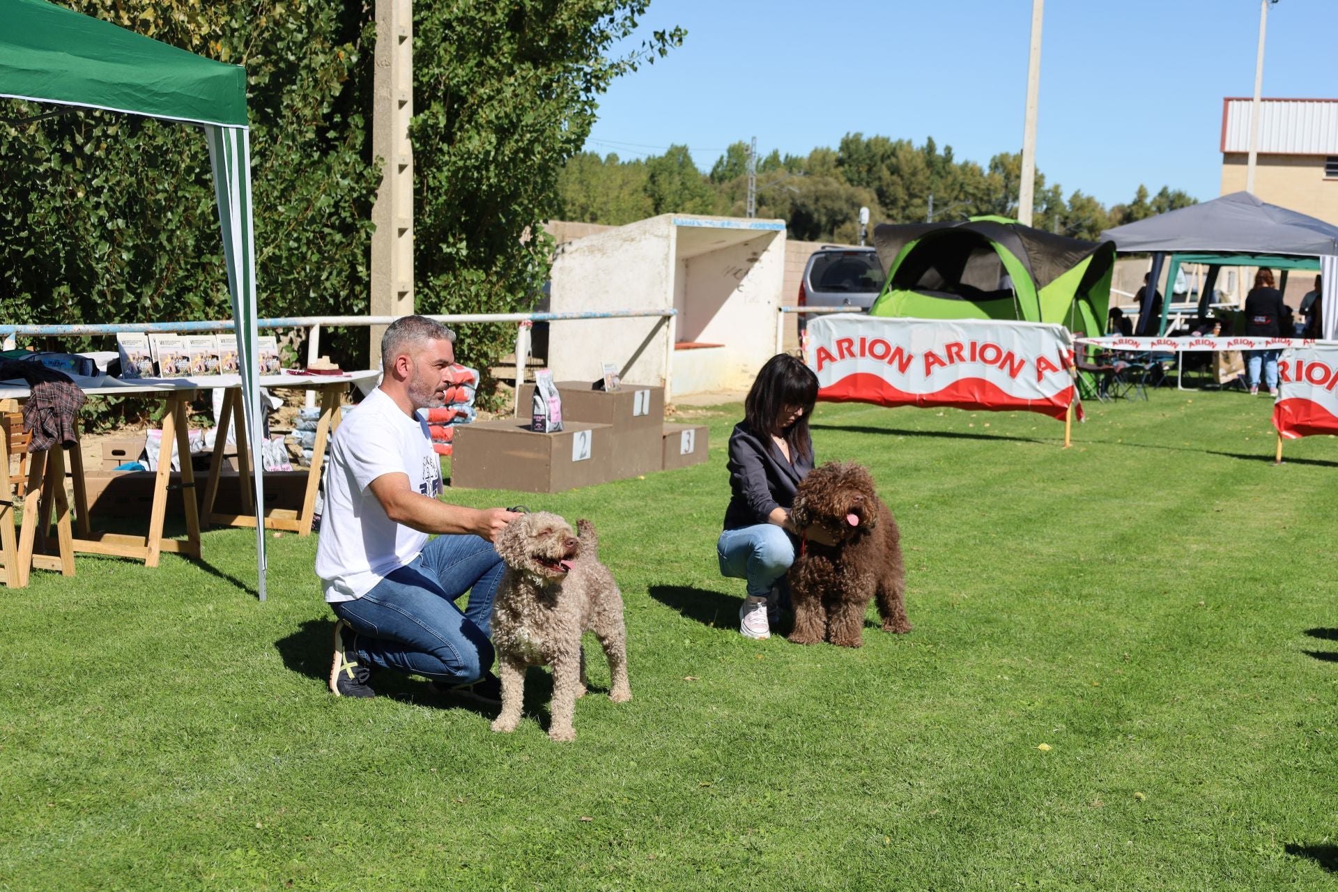 Concurso de mastines y perros de agua en Monzón de Campos