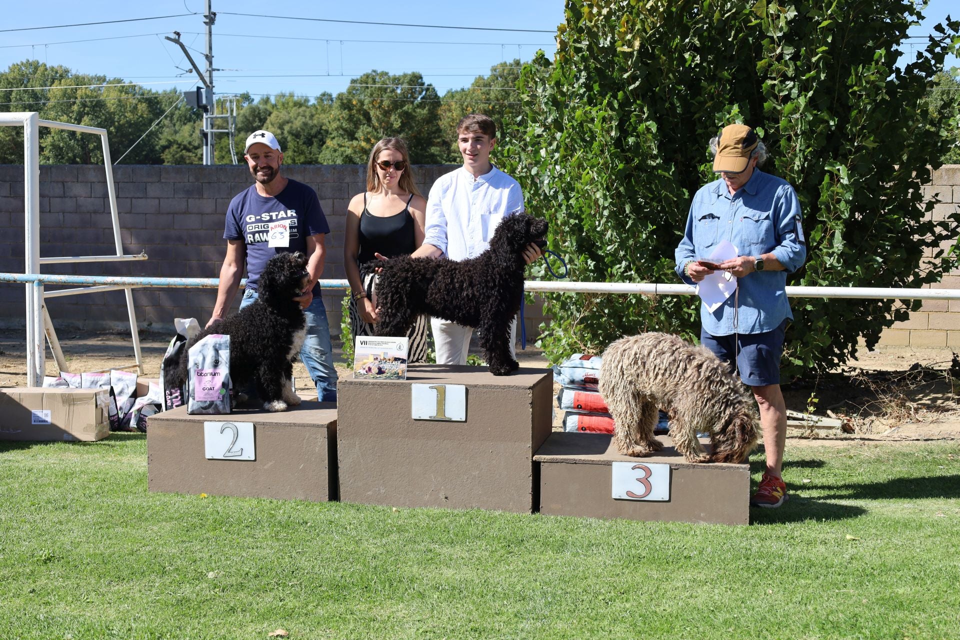 Concurso de mastines y perros de agua en Monzón de Campos