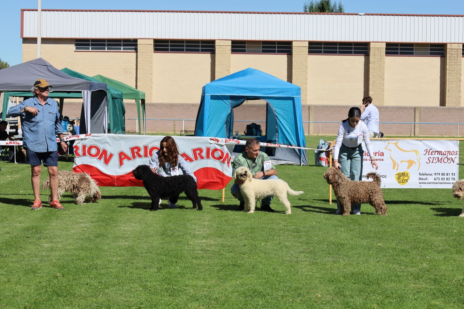 Concurso de mastines y perros de agua en Monzón de Campos