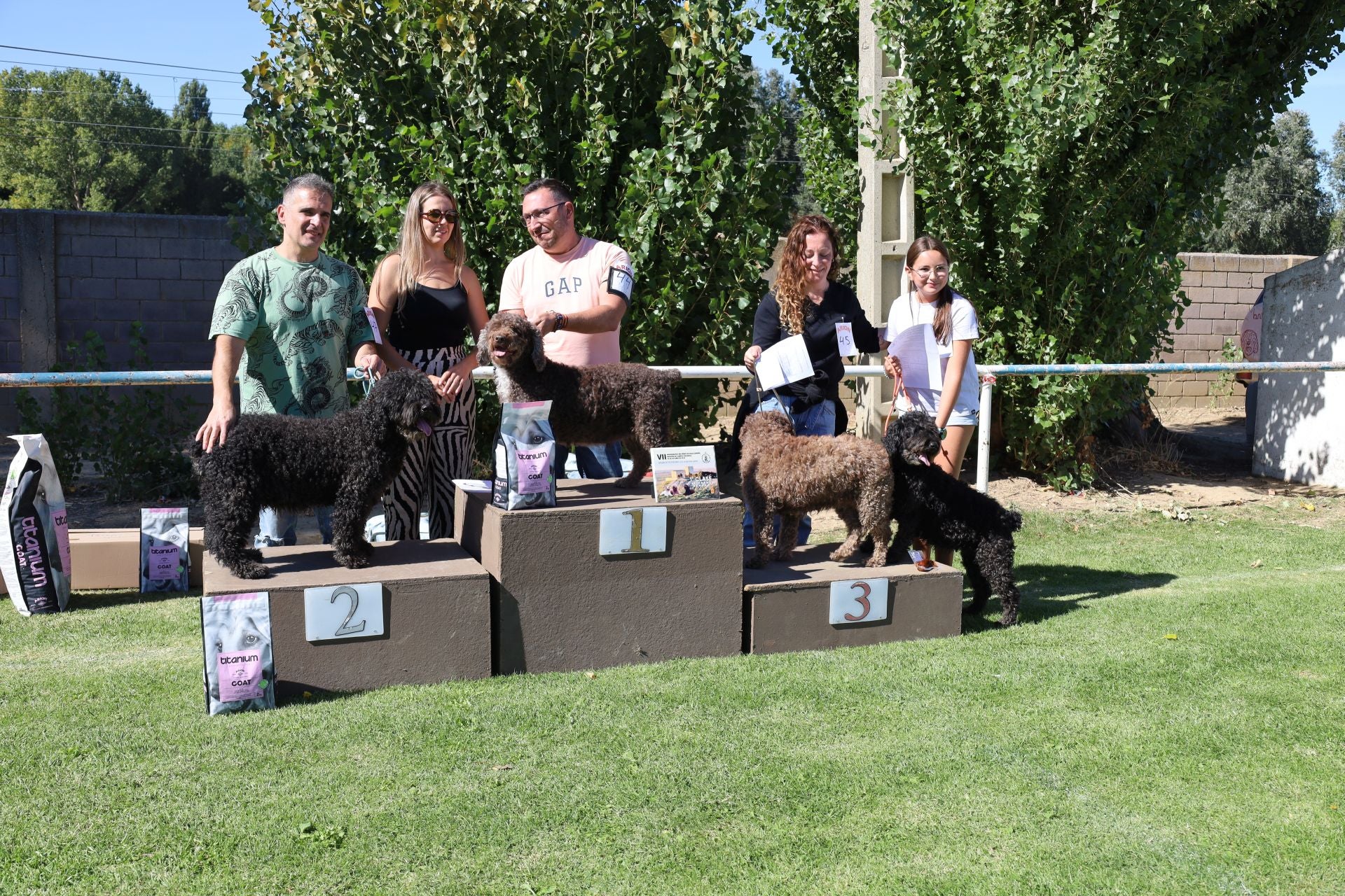 Concurso de mastines y perros de agua en Monzón de Campos