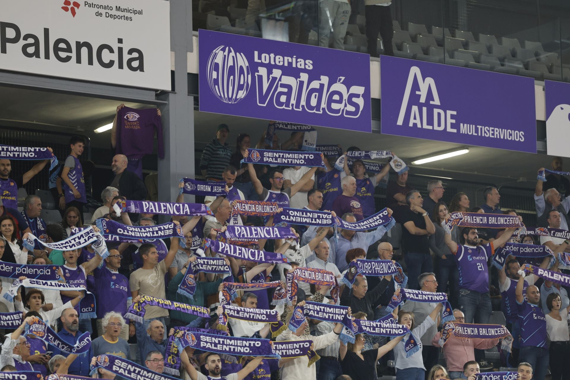 Búscate en las gradas del Súper Agropal Palencia-Cartagena