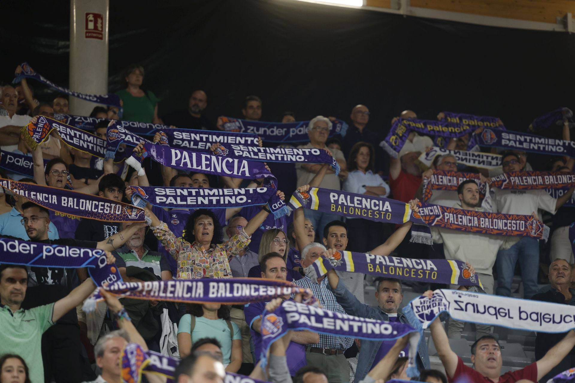 Búscate en las gradas del Súper Agropal Palencia-Cartagena