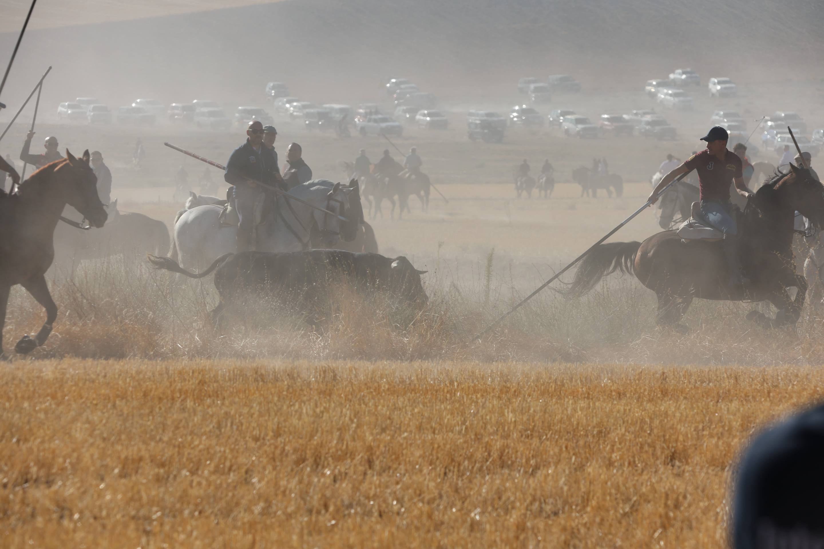 El encierro mixto en Mojados, en imágenes