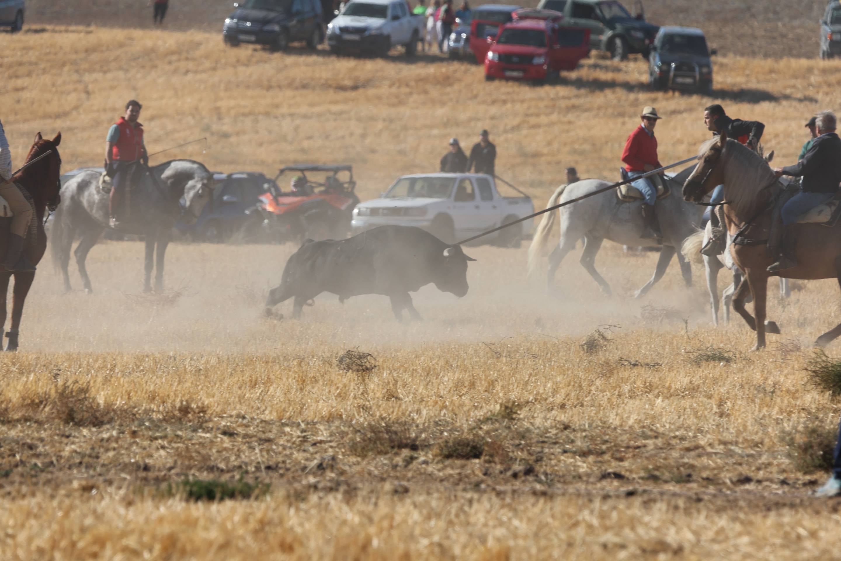 El encierro mixto en Mojados, en imágenes