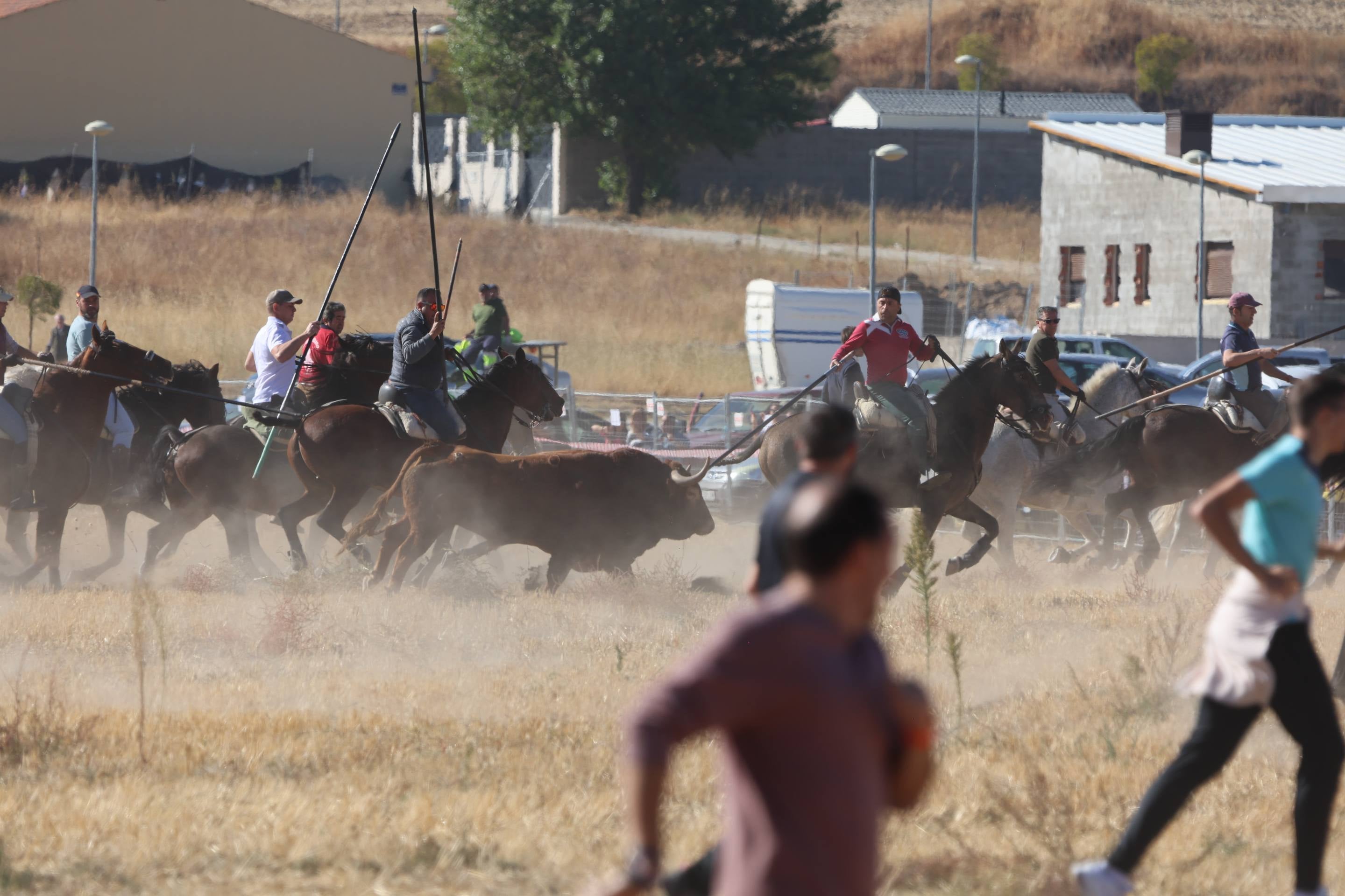 El encierro mixto en Mojados, en imágenes