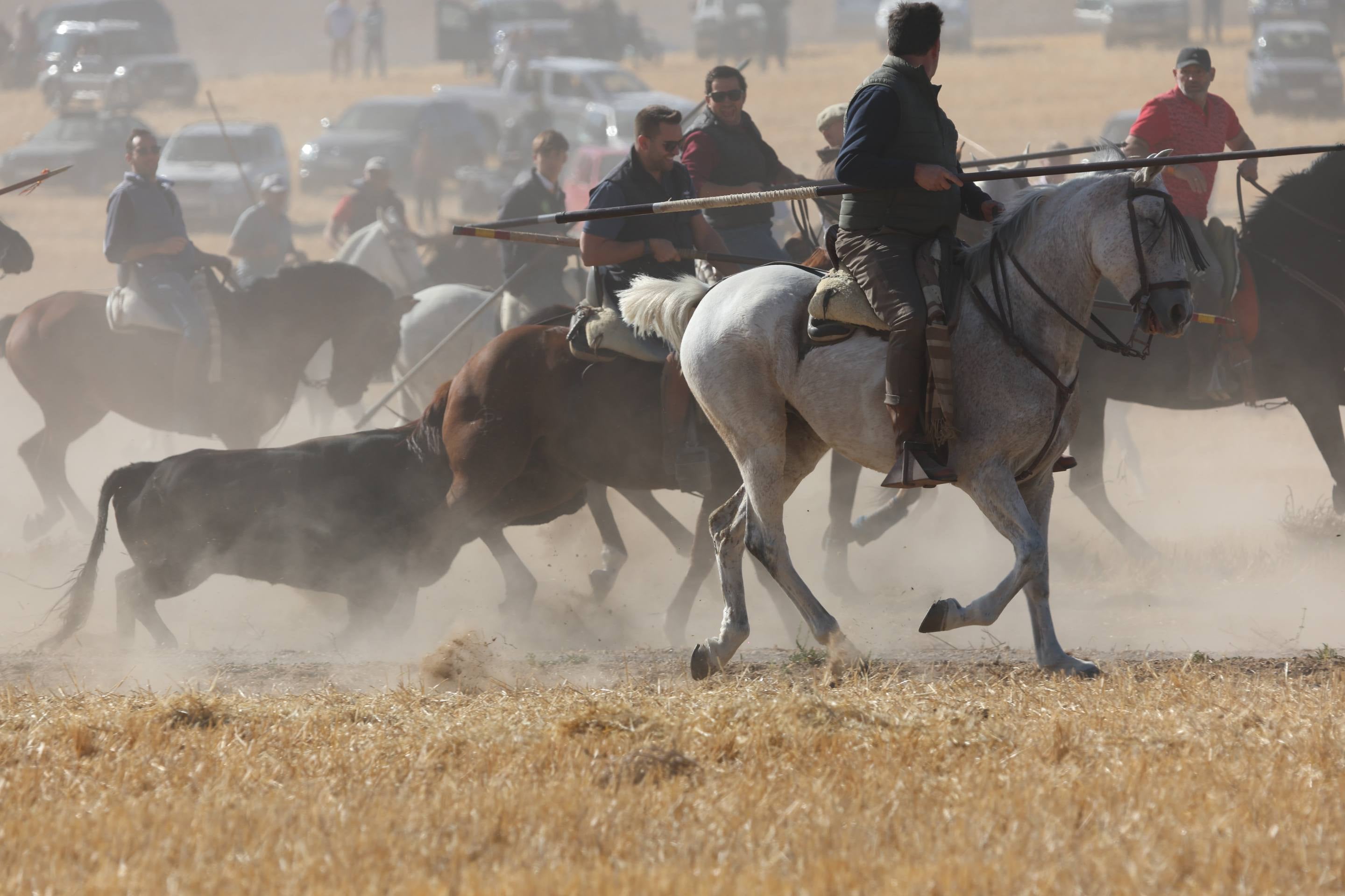 El encierro mixto en Mojados, en imágenes
