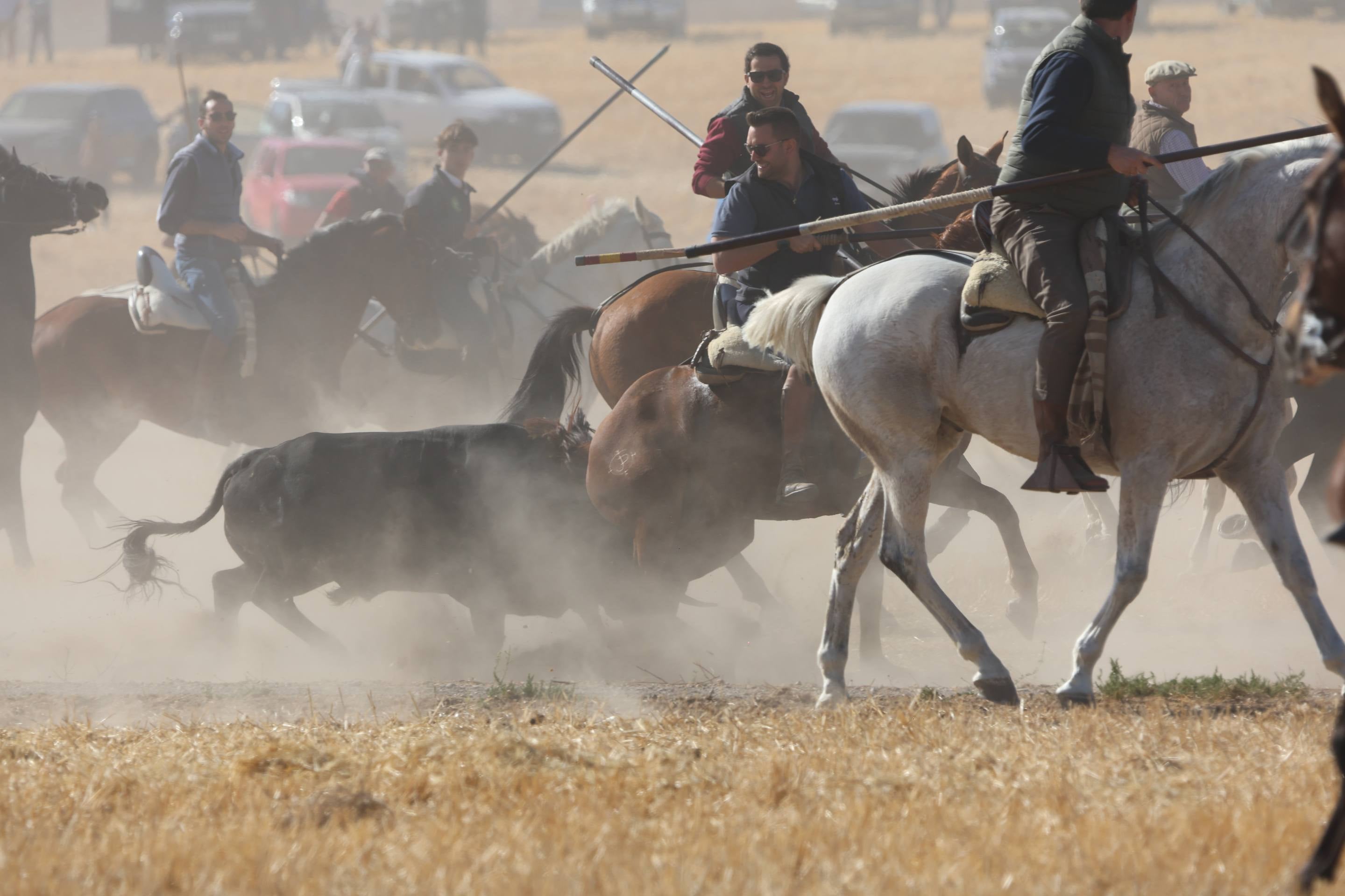 El encierro mixto en Mojados, en imágenes