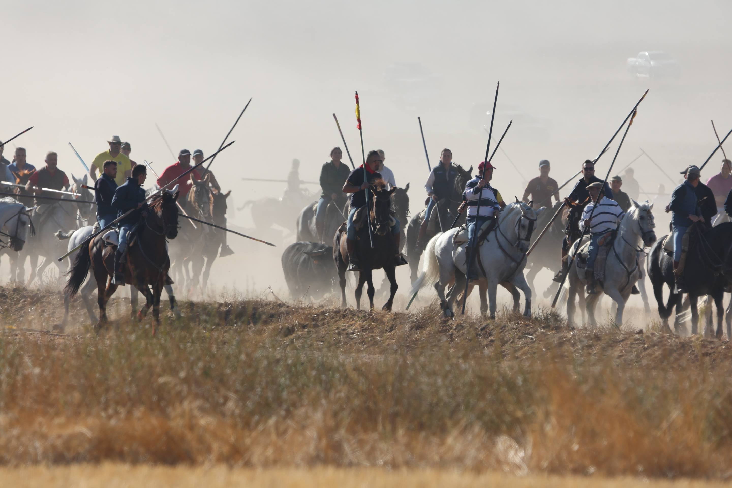 El encierro mixto en Mojados, en imágenes