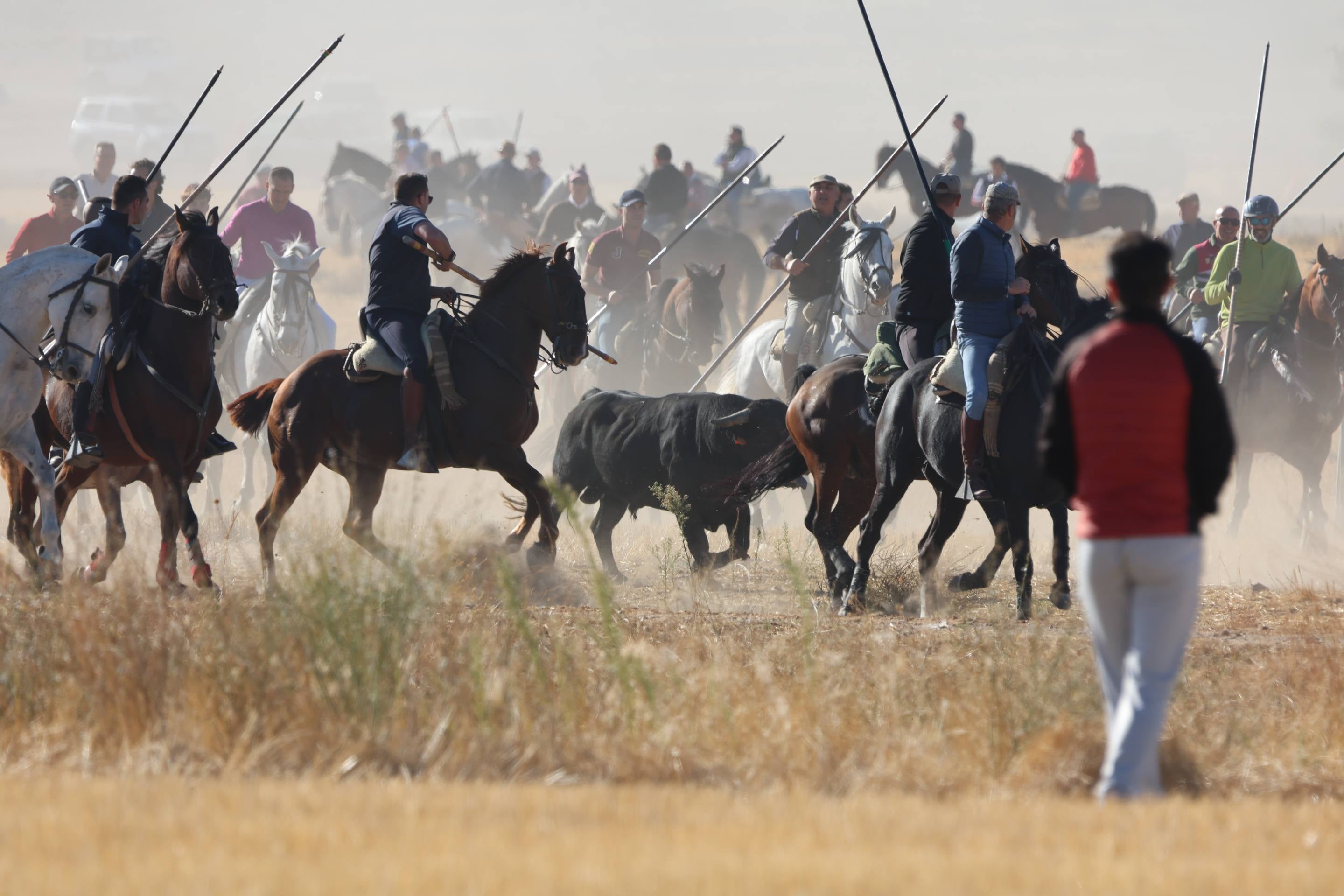 El encierro mixto en Mojados, en imágenes