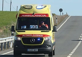 Imagen de archivo de una ambulancia en la CL-603