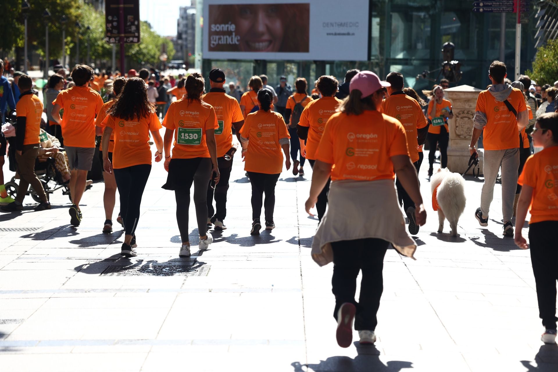 Las imágenes de la carrera contra el cáncer de Palencia