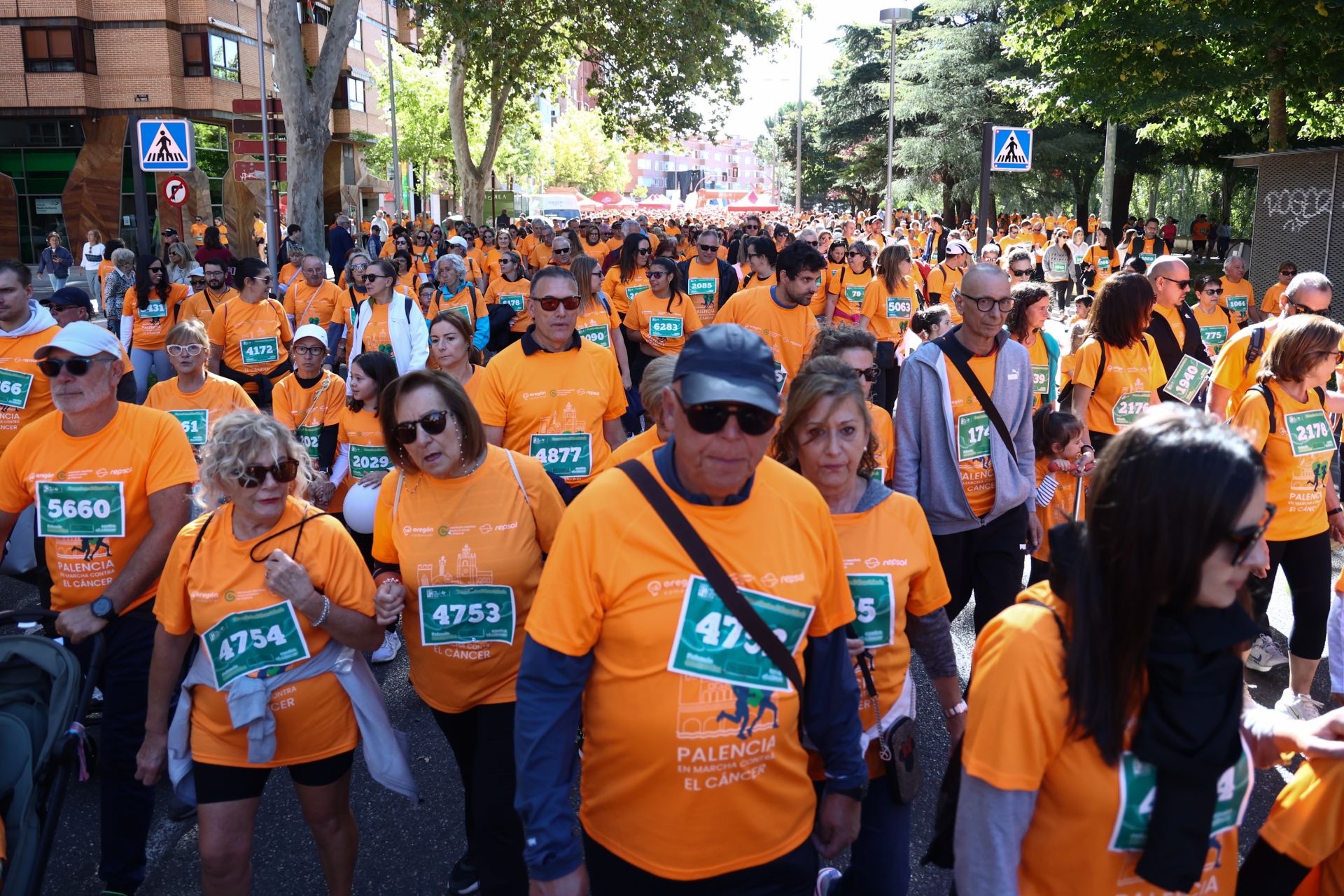 Las imágenes de la carrera contra el cáncer de Palencia