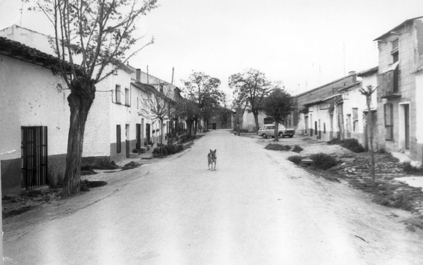 Vista de una de las calles de Pollos.