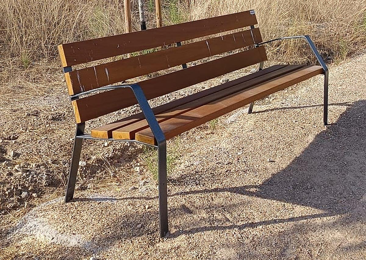 Imagen secundaria 1 - Crías de cisne en el Campo Grande y bancos antes y después de los robos en el parque 'El Tomillo'.