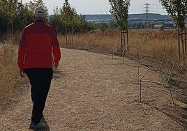 Estado en el que quedaron los bancos al poco de ser instalados en el parque 'El Tomillo', en Los Santos-Pilarica.