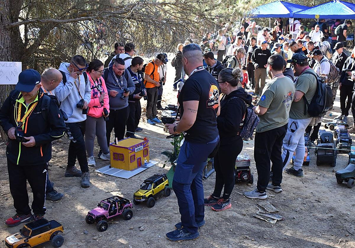 Cientos de aficionados y curiosos se congregaron en esta cita del radiocontrol