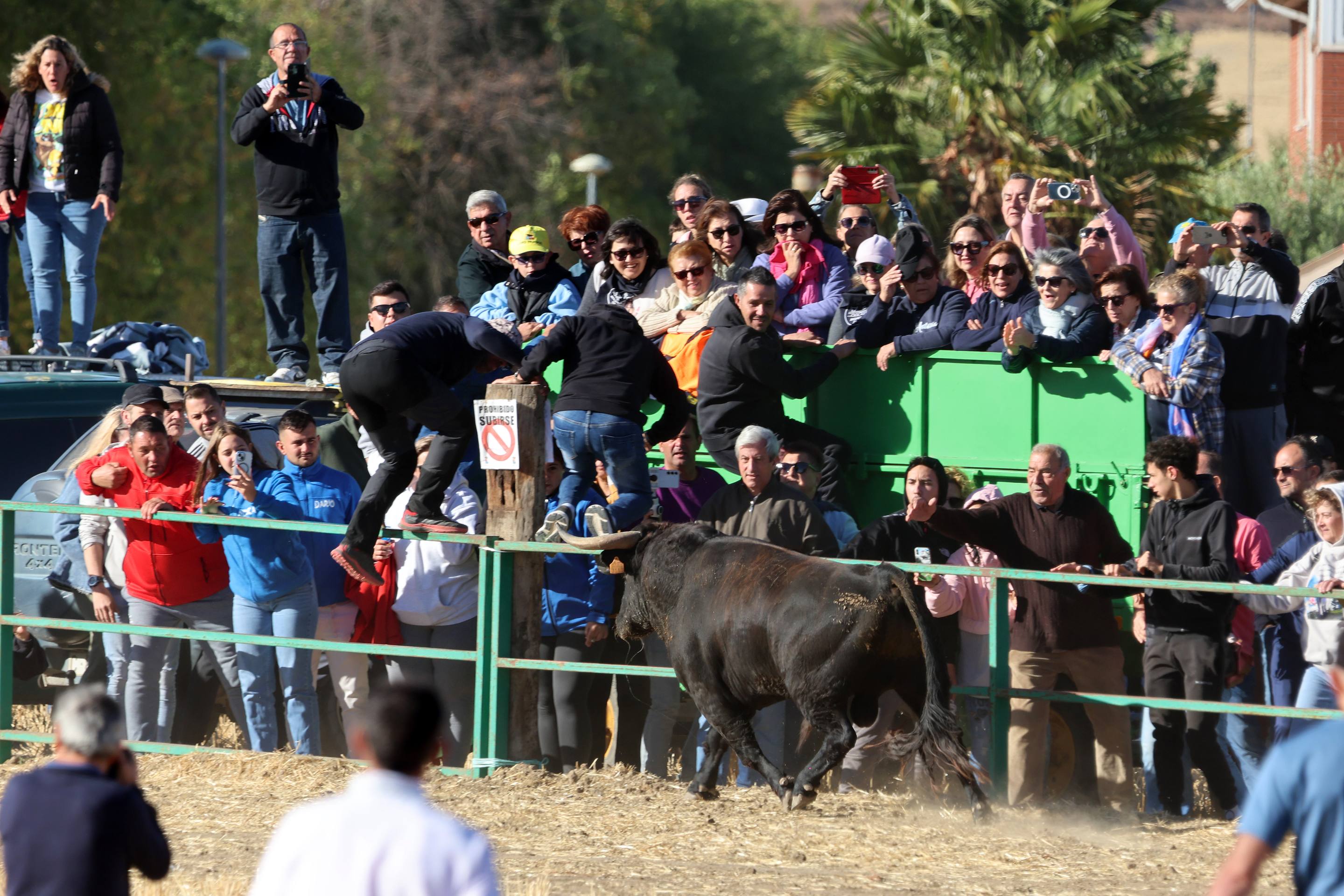 El encierro de este domingo en Mojados, en imágenes