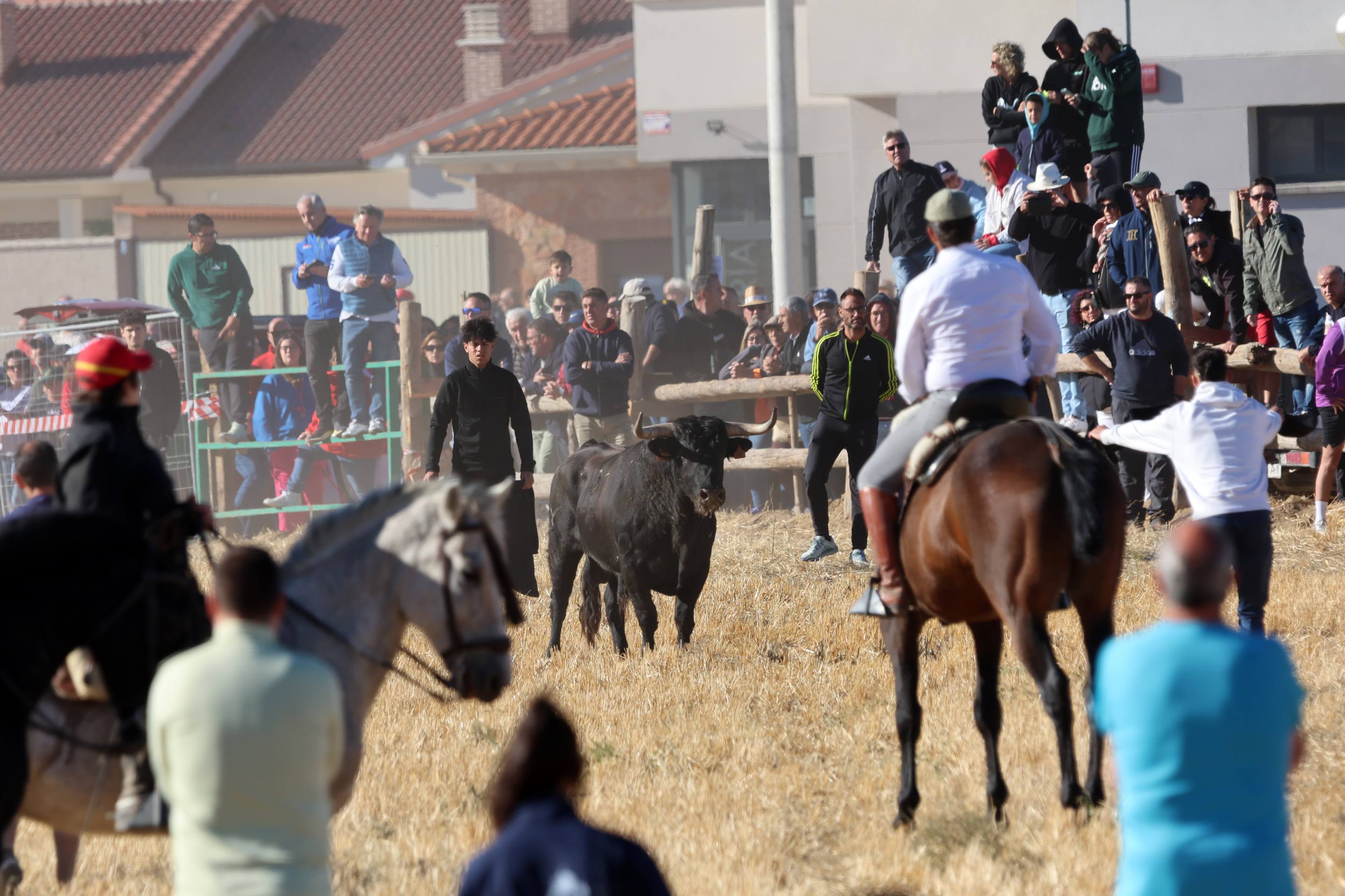 El encierro de este domingo en Mojados, en imágenes